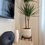 A 2 Min De Gascona Oviédo
