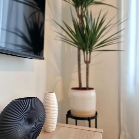 A 2 Min De Gascona Oviede